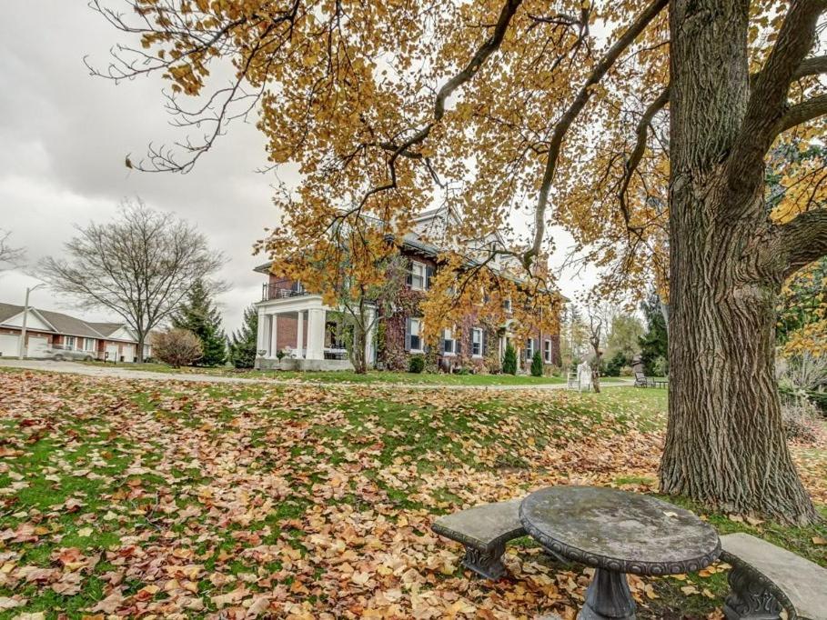 Hotel Clonmel Castle Port Dover Zewnętrze zdjęcie
